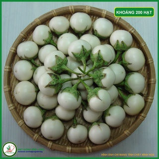 Hạt giống Cà Pháo Tiểu Tuyết TN 122 - 1g