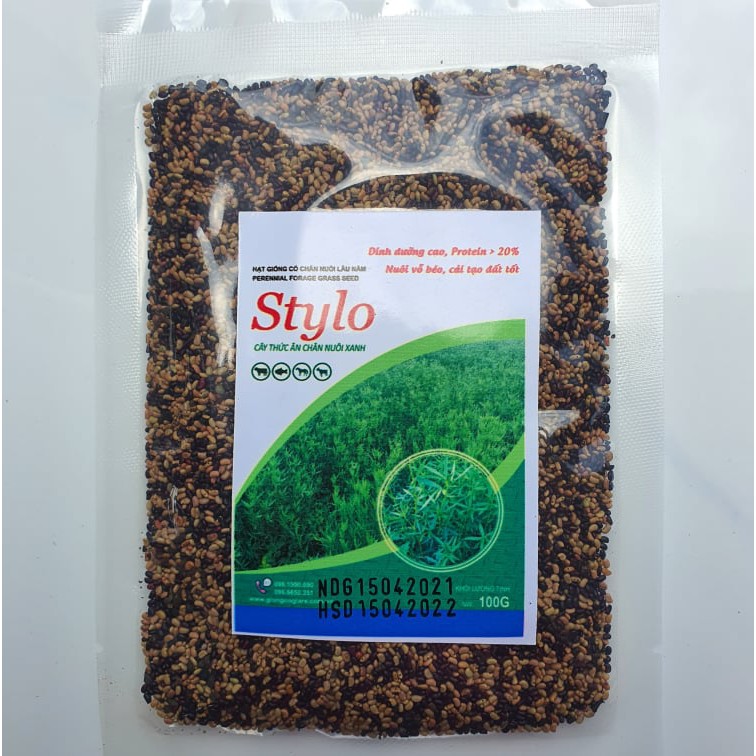 Cỏ Ubon Stylo - Giống Cỏ Nhiều Dinh Dưỡng (100g)