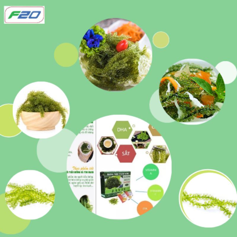 Rong nho tách nước gói 30gr. Nở ra gấp 3 lần rong nho tươi