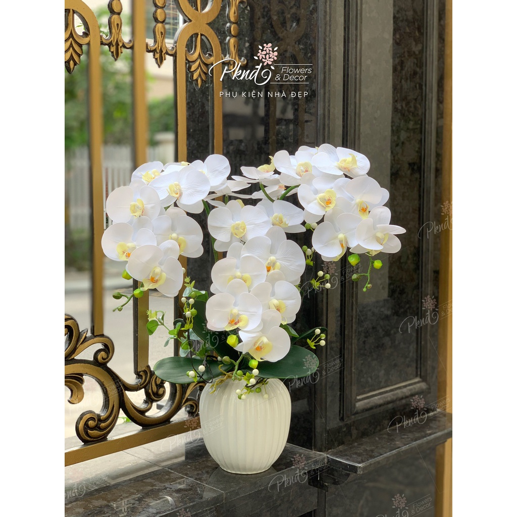 Chậu Lan Cao Su 3 Cành kết hợp hoa tiểu cảnh sang trọng - Nhiều màu sắc PKND FLOWERS &amp; DECOR CH98