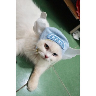 Mũ Đội Cute Cho Thú Cưng
