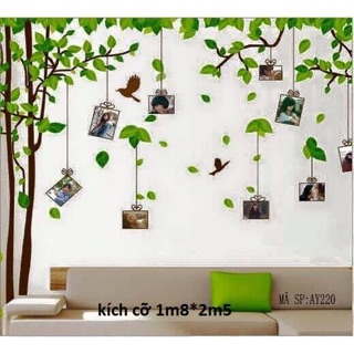 Decal dán tường cây khung ảnh cỡ lớn