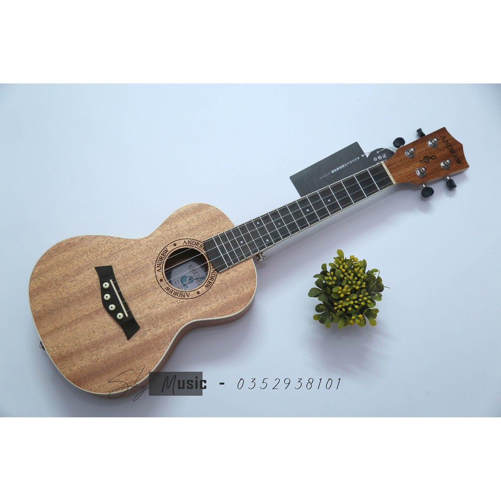 [HÀNG XỊN] Đàn Ukulele Concert Andrew 23inch Gỗ Siêu Đẹp Âm Cực Vang (Tặng kèm Full 9 Món Phụ Kiện)