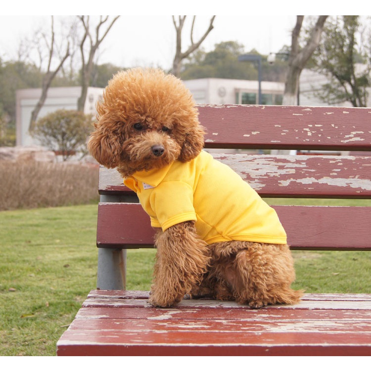 Áo Thun Cổ Bẻ Xinh Xắn Cho Thú Cưng