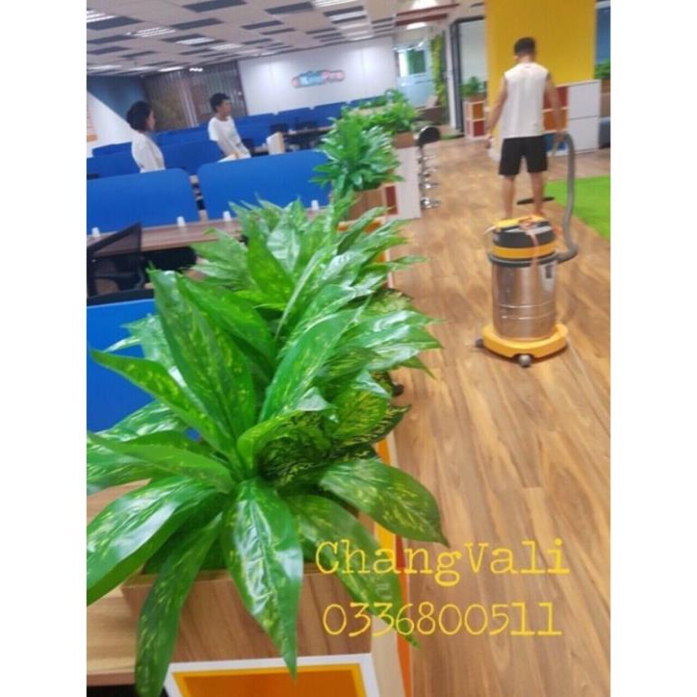 Cây giả - cây trang trí loại lớn - nhiều mẫu