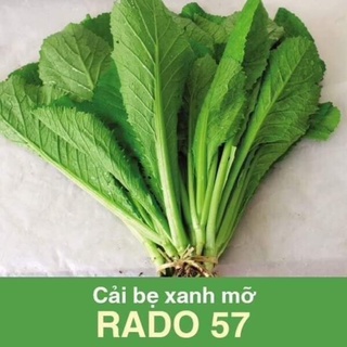 Hạt giống cải bẹ xanh mỡ 20g rado 57