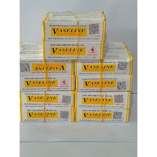 Combo 5 tub VASELINE Thiên ngân kem làm giảm nứt nẻ môi ,da tay, chân..