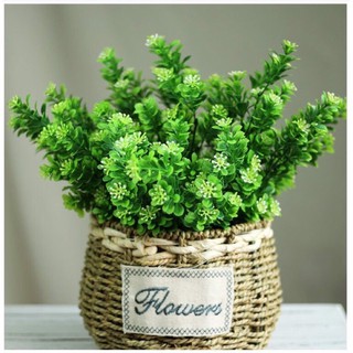🍀 Lá Điểm Cành Ngâu Decor