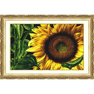 Tranh Thêu Chữ Thập (Thêu toàn bộ) Hoa Hướng Dương RY3259 (KHÁCH TỰ THÊU) KT;102X67CM