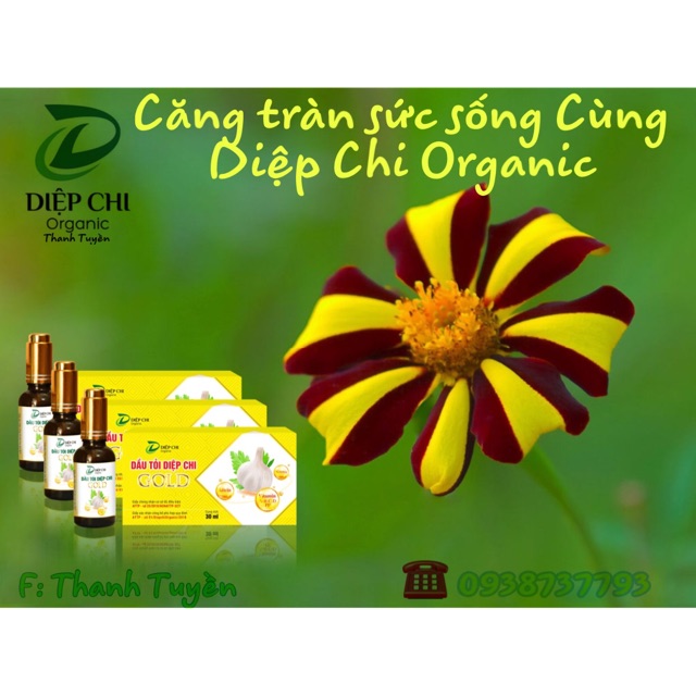 Dầu tỏi Diệp Chi Gold