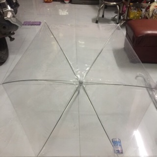 Ô dù trong suốt