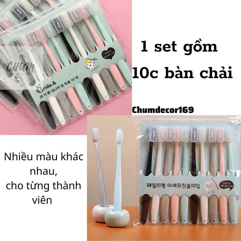 Set túi 10 bàn chải có nắp đậy hàng xuất Nhật D7