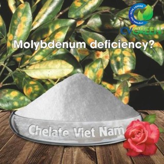 Natri Molipdate (Sodium Molipden Na₂MoO₄·2H₂O) gói 50g