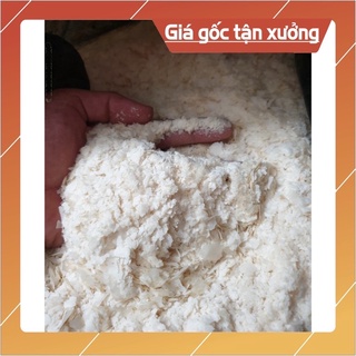 Bông Tuyết câu cá