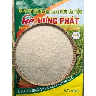 Gạo ST25, mùa vụ 11/20, dẻo mềm thơm - 2kg