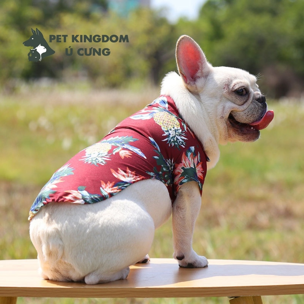Áo Sơ Mi Cho Chó Mèo Phong Cách Hawaii, Áo Thú Cưng Đi Biển