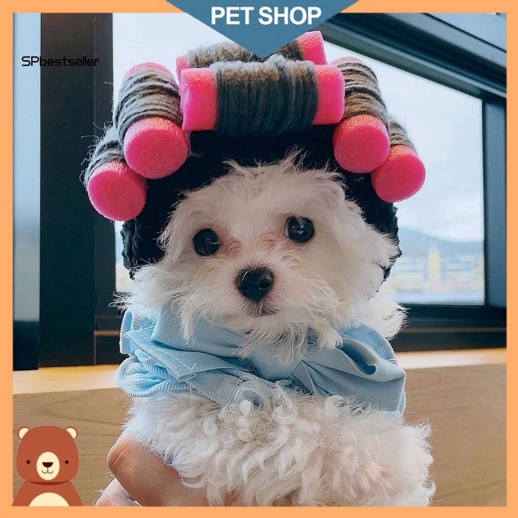 Bộ Mũ Và Tóc Giả Xoăn Hóa Trang Vui Nhộn Cho Thú Cưng