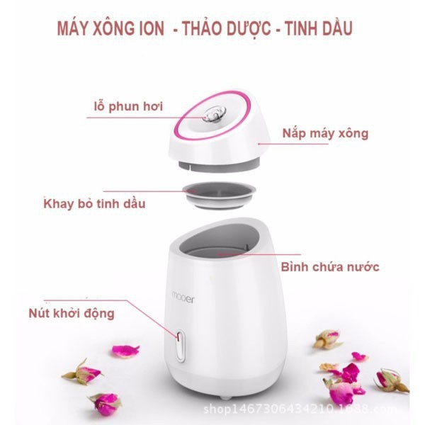 MÁY XÔNG MẶT TRÁI CÂY VÀ THẢO DƯỢC 2IN1 MAOER MR-Z1