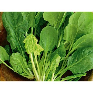 HẠT GIỐNG RAU CẢI BÓ XÔI