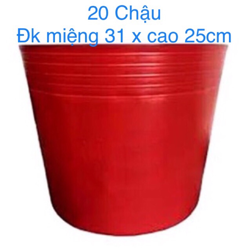 Combo 20 Chậu Hoa Lớn, Chậu Trồng Cây Chưng Tết, Chậu dẽo dai độ bền 5 năm