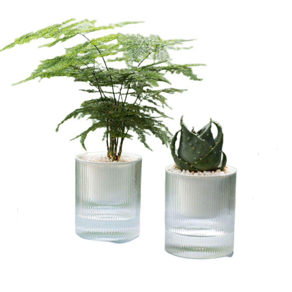 Chậu Trồng Cây Hấp Thụ Nước Tự Động Kèm Khay Tiện Dụng Cho Sân Vườn