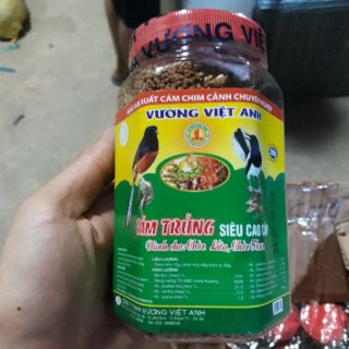 Combo 2 lọ cám trứng siêu cao cấp cho chòe lửa, chòe than
