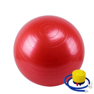 Bóng Tập Yoga, Gym Trơn Size 65, Tặng Kèm Bơm, ONEFFIT Bóng Trơn 65cm