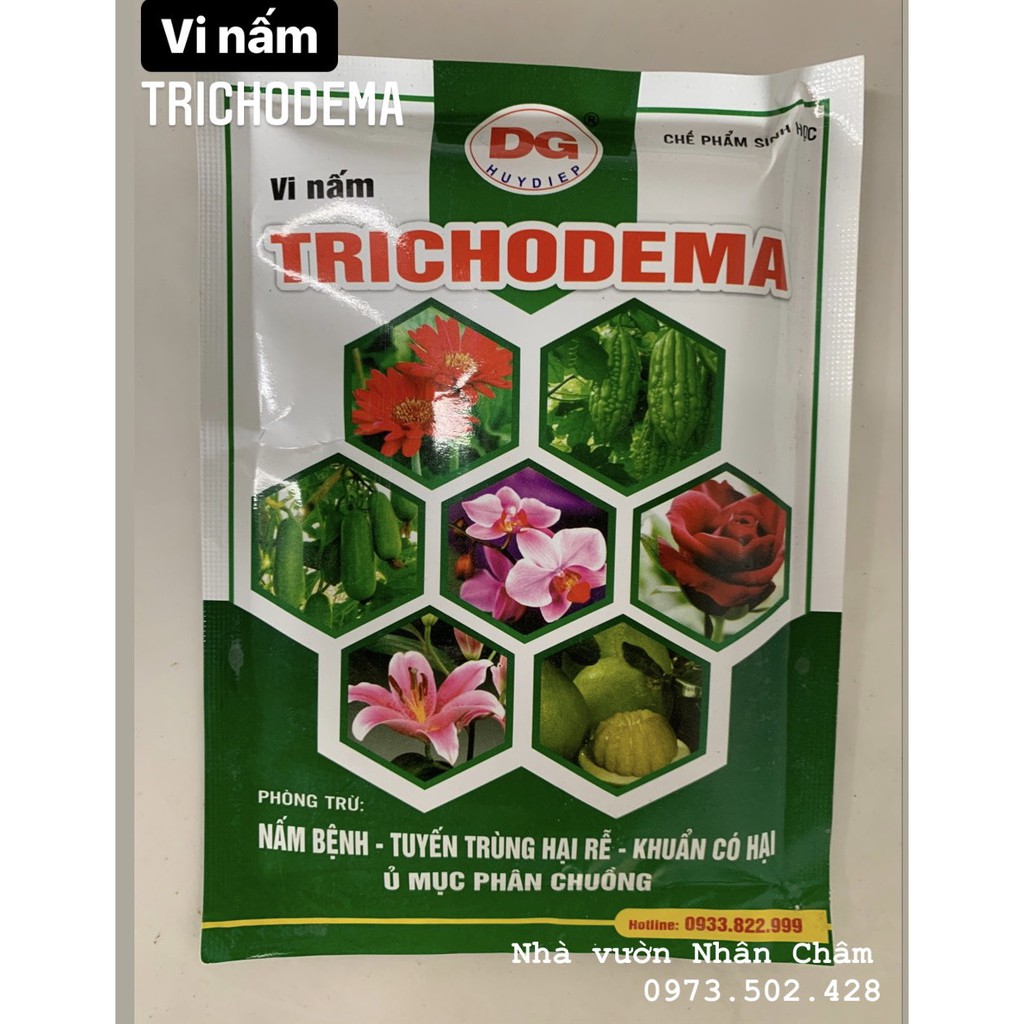 Chế phẩm men vi sinh nấm Trichodema loại 100g