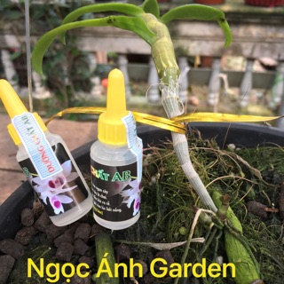 Dưỡng chất AB (siêu phẩm dành cho hoa lan)