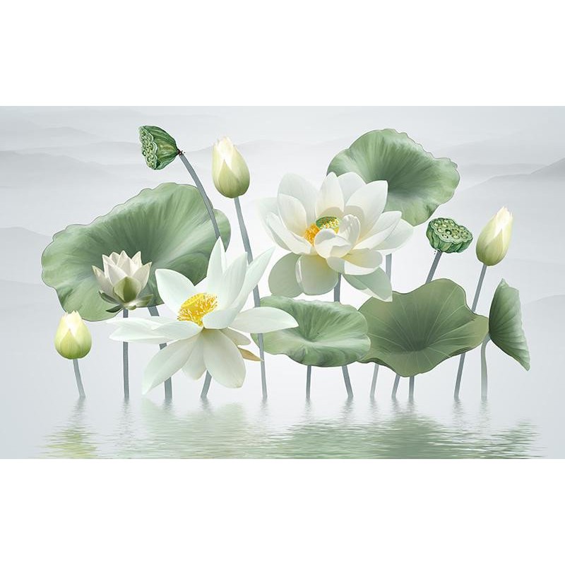 Tranh dán tường tranh trang trí 3d hoa sen trắng H122