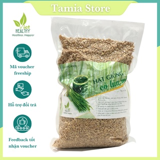 Hạt Giống Cỏ Lúa Mì VietHealthy 1Kg| Cỏ lúa mì Việt Healthy