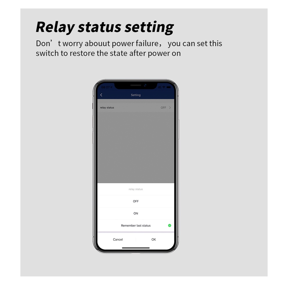Ổ cắm điện điều khiển qua điện thoại thông minh, App Tuya hoặc Smart Life, 100v 220v