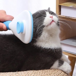 LƯỢC CHẢI LÔNG CHÓ MÈO