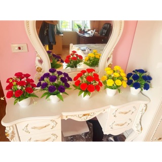 Nguyên liệu hoa cẩm chướng