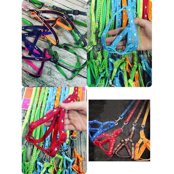 Dây dẫn Yếm cho Thú cưng