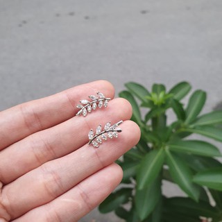 Khuyên tai bạc nữ cành lá oliu bám vành tai
