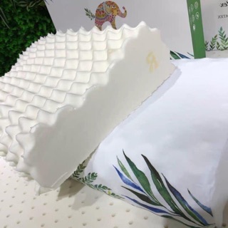 Gối cao su non cao cấp Ventry
