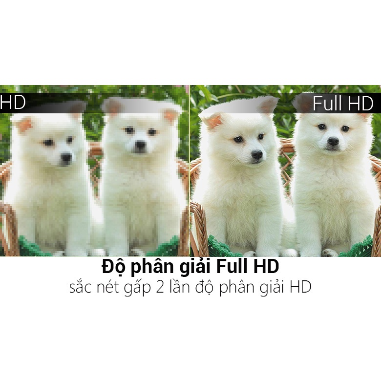 Smart Tivi TCL 32 Inch L32S62T  - Mới 100%