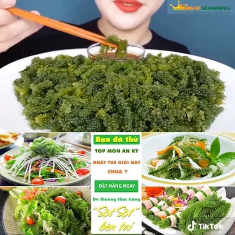 Rong nho Green Food cao cấp nở ra rong nho tươi Organic Hàng công ty check mã vạch | BigBuy360 - bigbuy360.vn