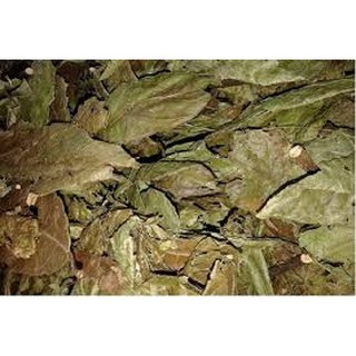 Lá Xạ Đen Hòa Bình Gói 500g