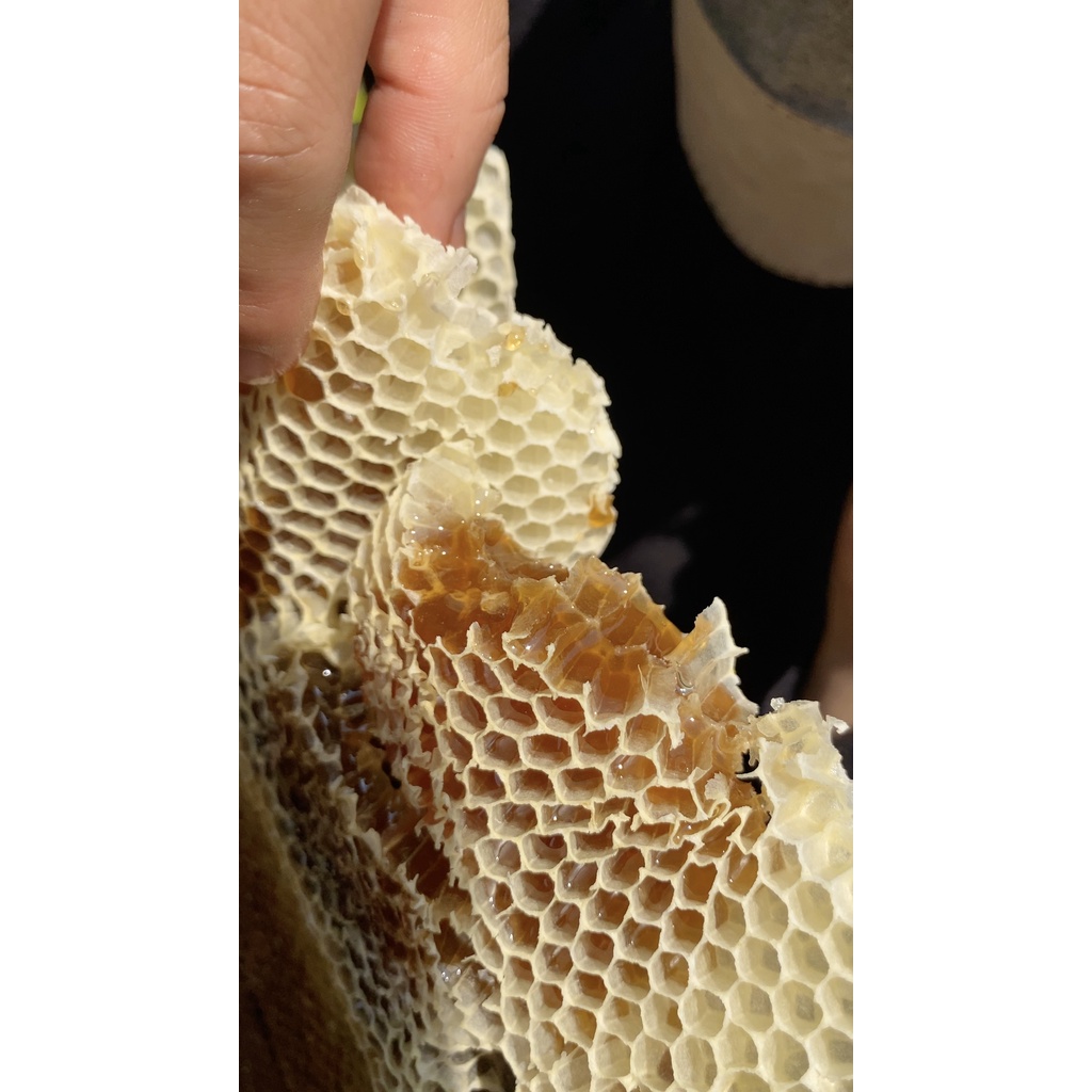 [Mã GROSALE giảm 10% đơn 150K] Mật ong nguyên chất hoa cafe - quà tặng dinh dưỡng từ núi rừng
