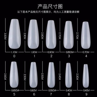 Hộp Móng Úp Phom thang 100 móng đủ size