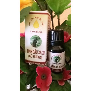 Tinh dầu Xá xị ( Gù hương)