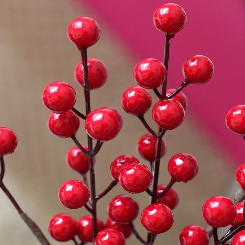 Nhánh đào đông mini 1 nhánh 12 quả to tròn