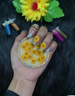 Hoa bột cặp 2 cái NN