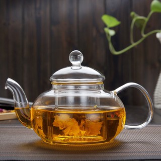 Ấm thủy tinh chịu nhiệt có lõi lọc 600ml