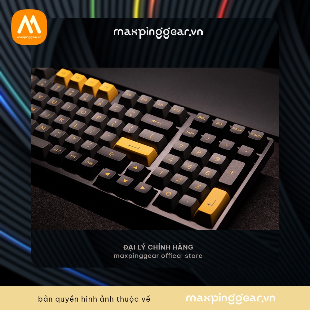 Bàn phím cơ AKKO 3098B Multi-modes Black Gold (Bluetooth 5.0 / Wireless 2.4Ghz / Hotswap / Foam tiêu âm / Foam đáy / AKK