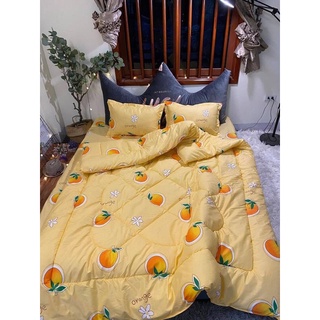 chăn phao cotton poly set 5 món