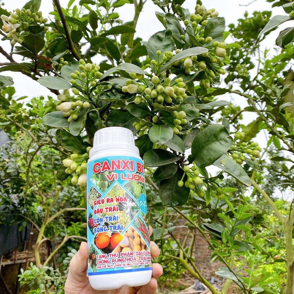 Phân Bón Lá Siêu Canxi Bo Vi Lượng, Hạn Chế Rụng Hoa, Tăng Đậu Quả, Chống Nứt Trái Chai 500ML