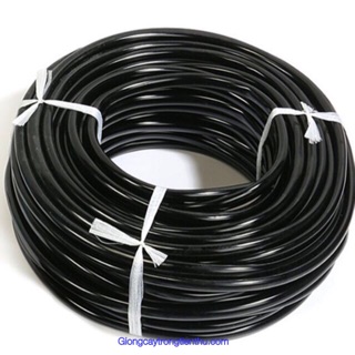Ống pe 6mm chuyên dùng trong hệ thống tưới